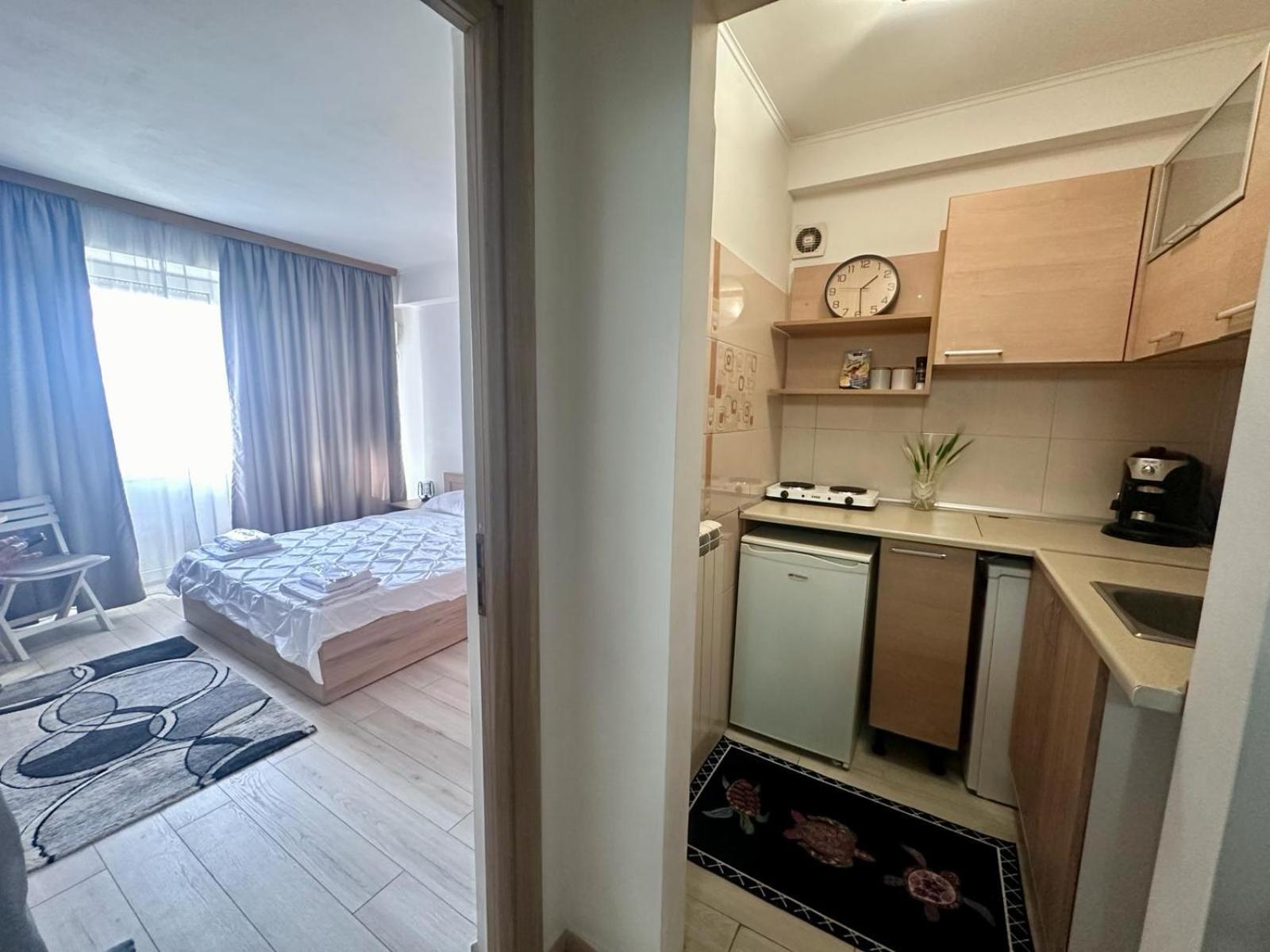 Downtown Studio Calea Victoriei Ultracentral Bukareszt Zewnętrze zdjęcie